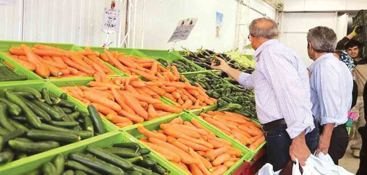 کرونا، هویج را هم از ما گرفت