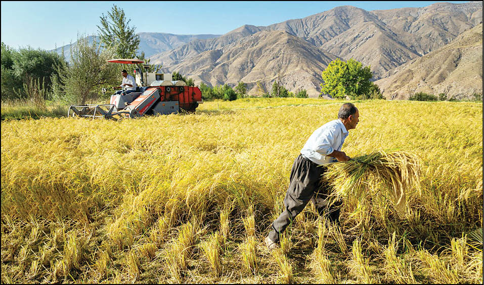 آفت‌خشکسالی به‌جان اشتغال