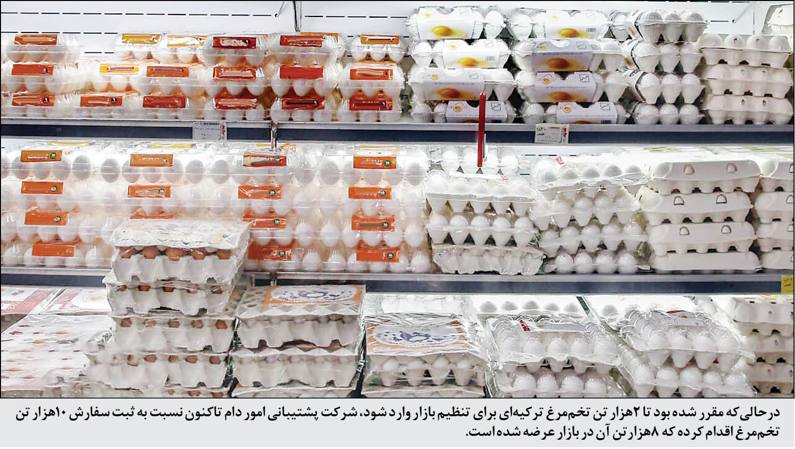 گزارش میدانی همشهری از عرضه چندنرخی و تأثیر واردات بیش از نیاز تخممرغ بر بازار