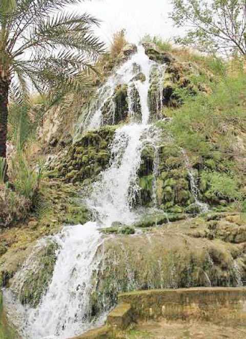 تزرج