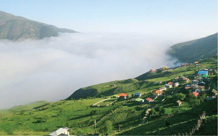 لاویج