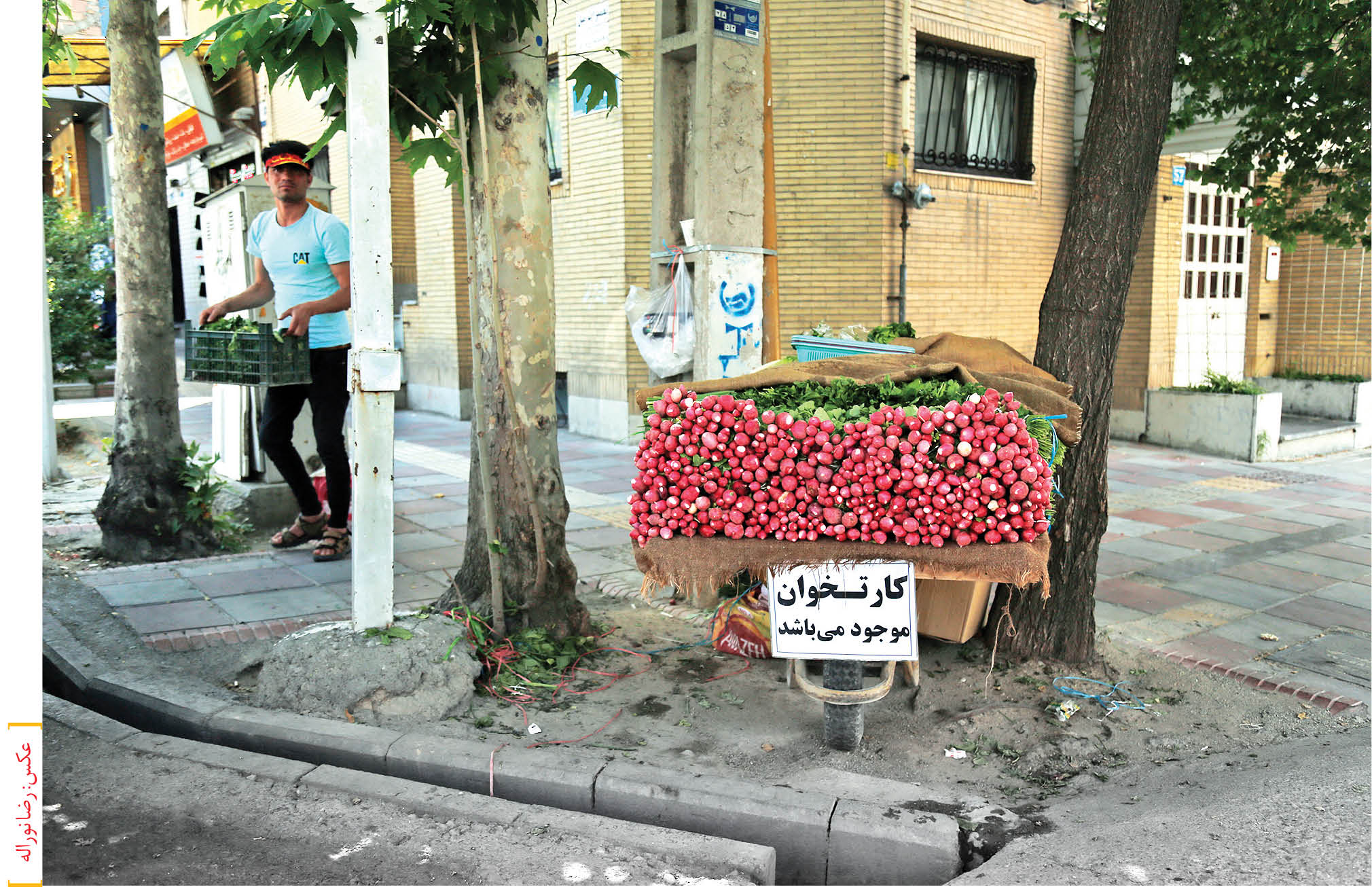 دستفروشان و حتی متکدیان دستگاه کارتخوان دارند. این اتفاق چگونه رخ می دهد و قانون درباره آن چه می‌گوید؟