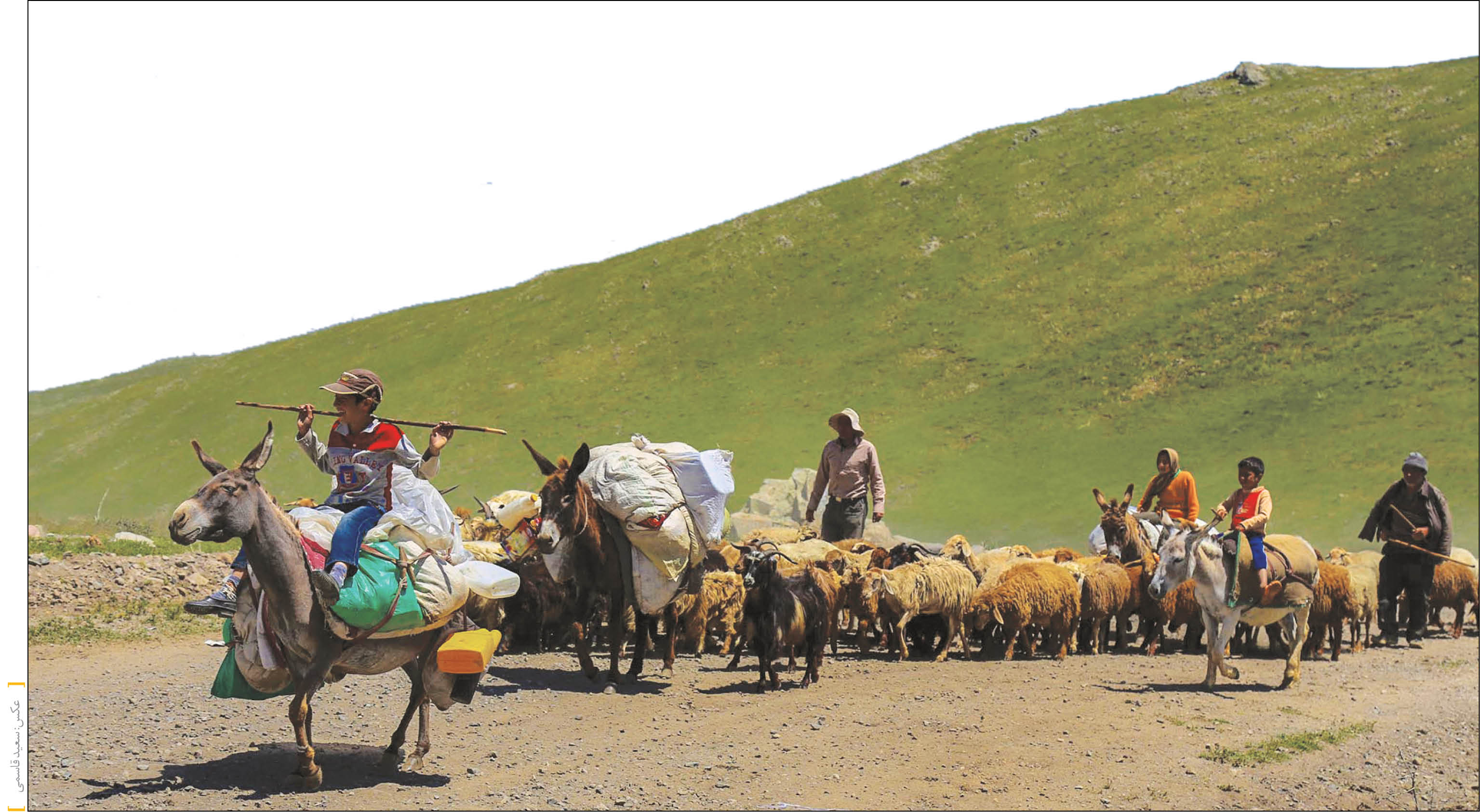 زندگی در کوچ
