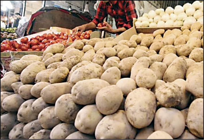 سیب زمینی پیشتاز گرانی سبزی و صیفی