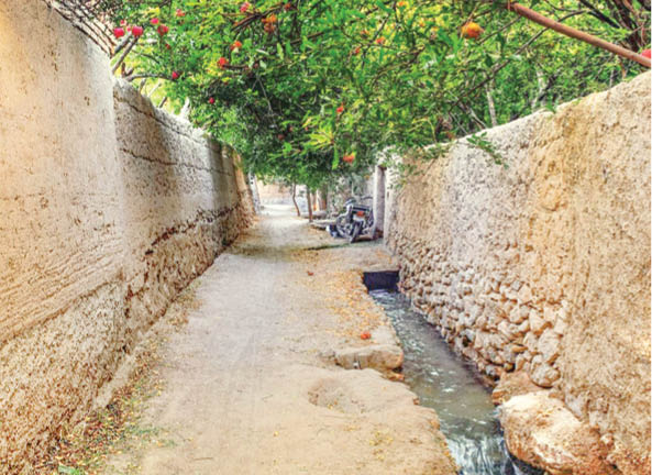 به روستا برمی‌گردیم