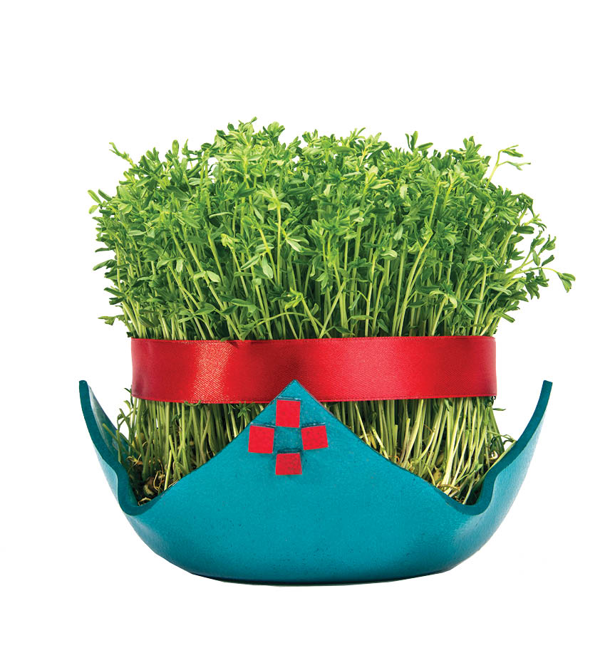 دوری که نزدیک است