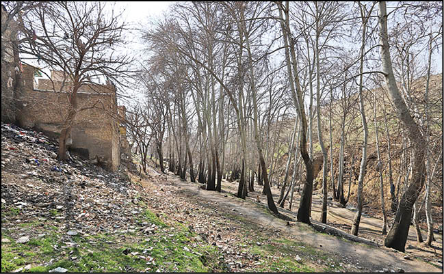 خانه‌هایی در شیب دره