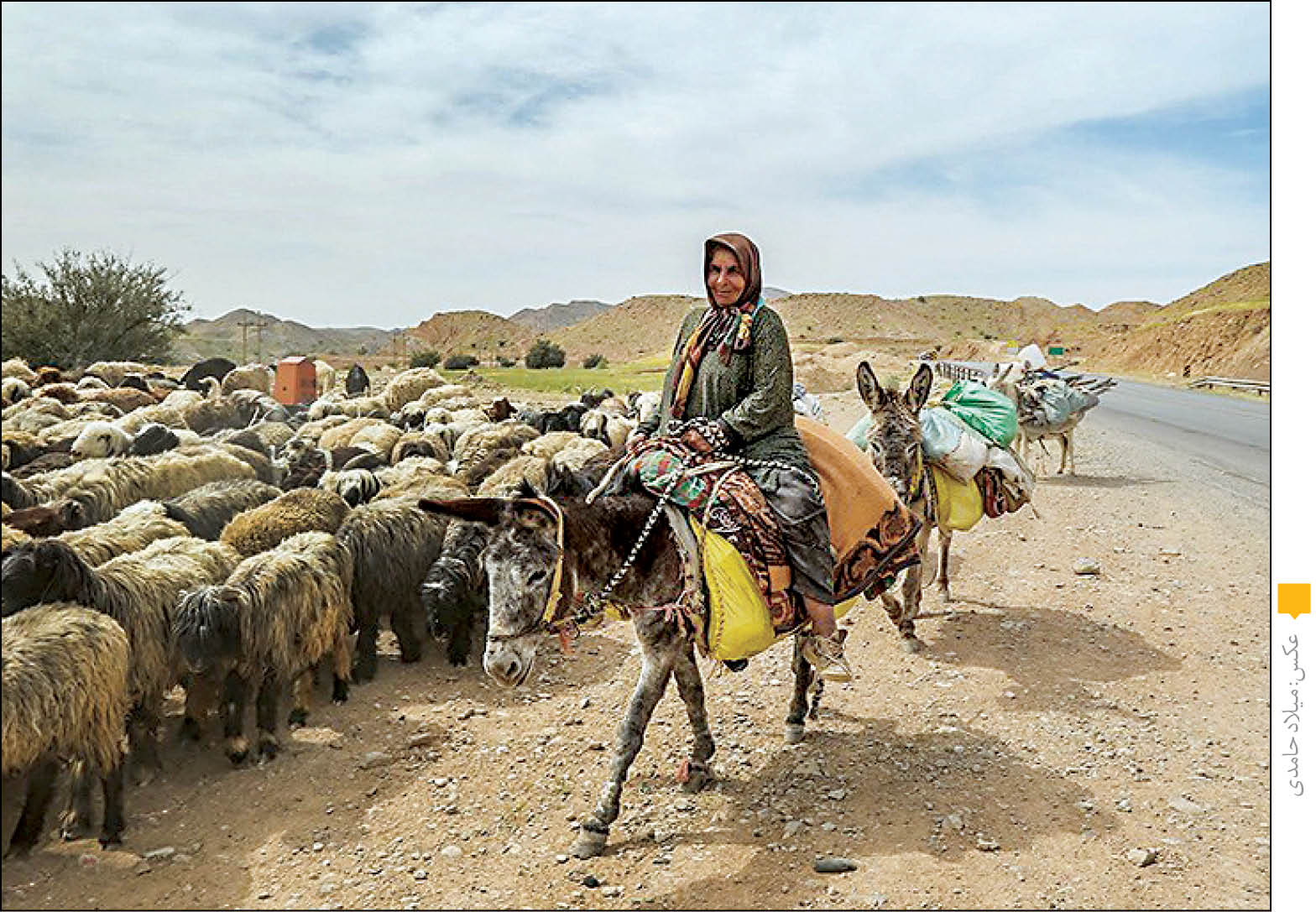 کوچ زودرس بهاره از جنوب