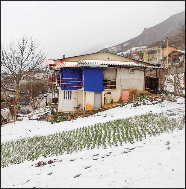 عکس خبر/بهار برفی در کوهستان چالوس