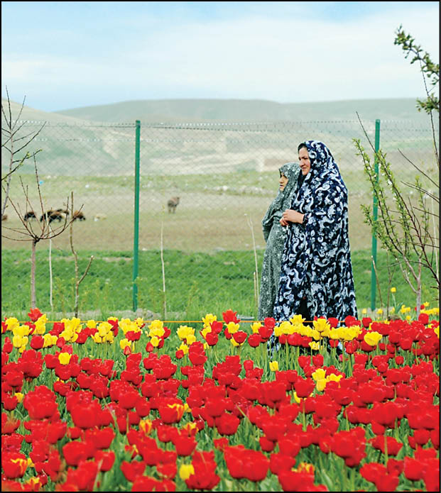باغ لاله اقدمی