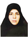 ساید متالیک