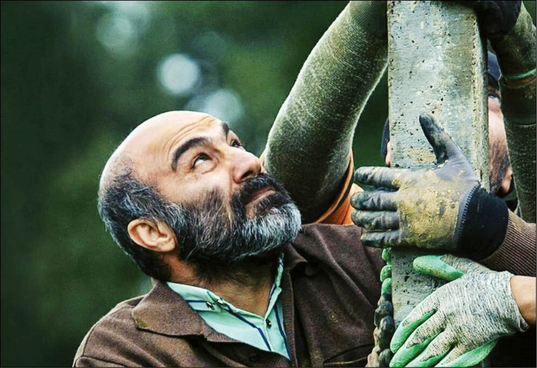 موقعیت مهدی، جنگ جهانی سوم و بیرویا در فهرست گزینههای معرفی به اسکار قرار دارند