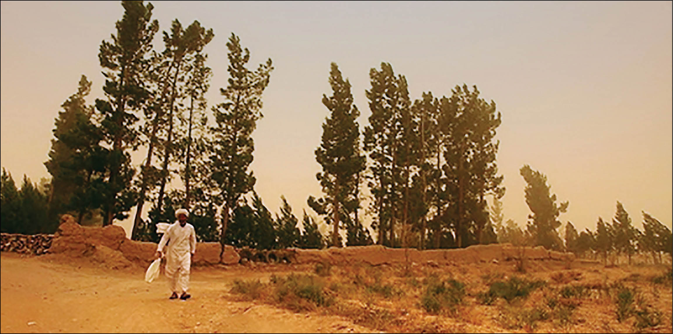 خوف بیابانزایی در خواف