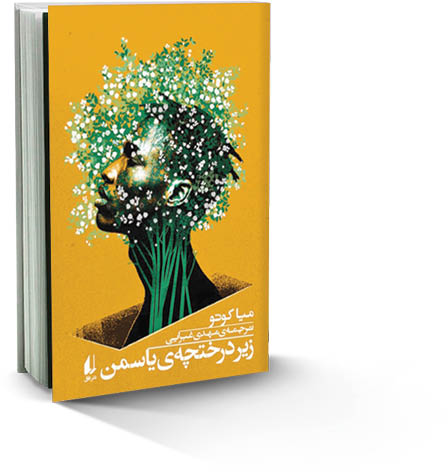 زیر درختچه یاسمن