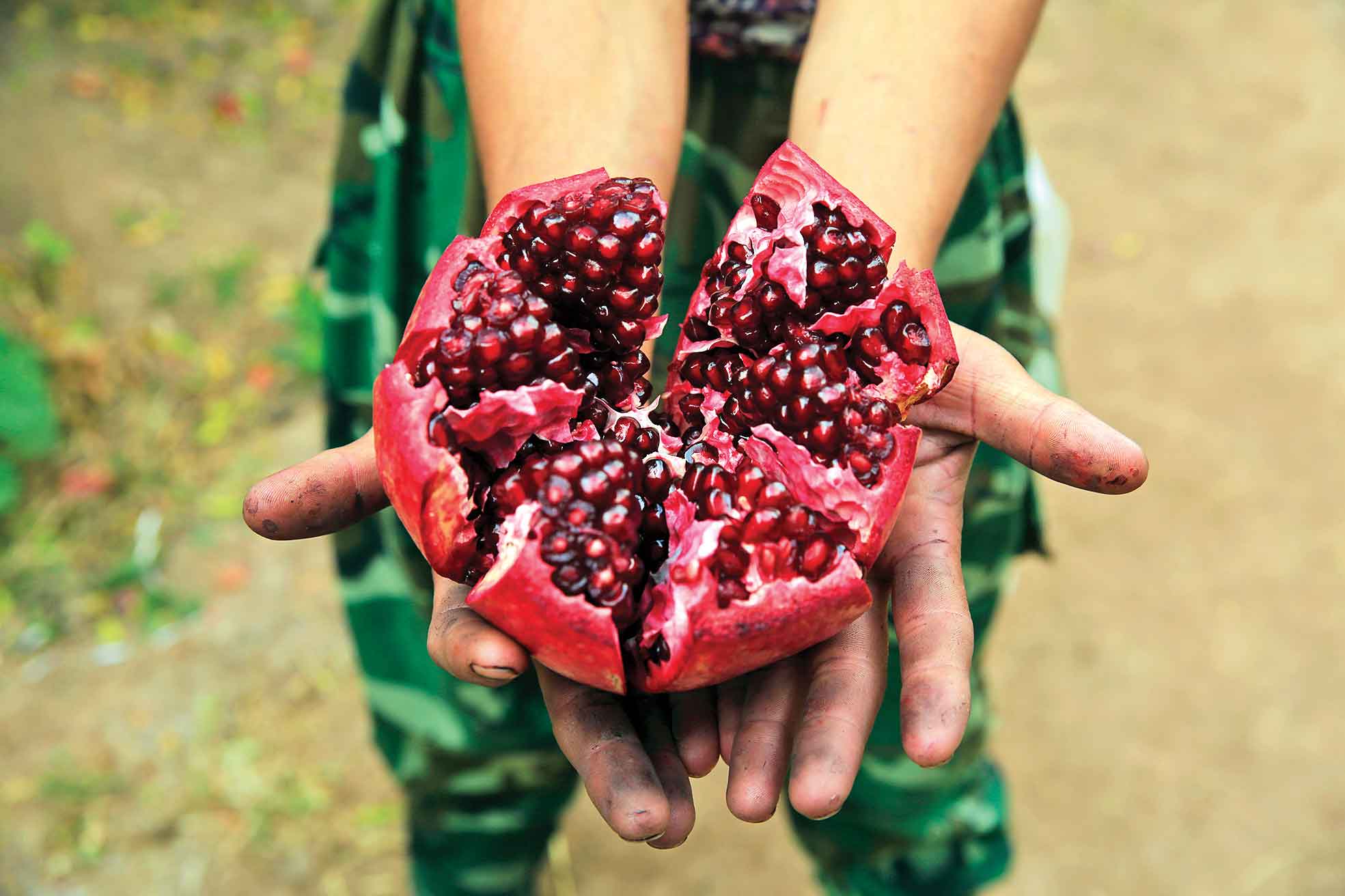 جشنی به سرخی یاقوت