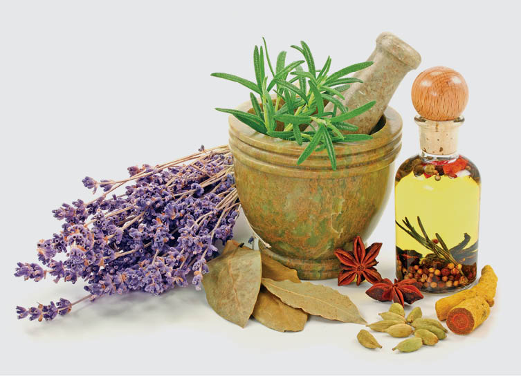 عطارها دکتر می‌شوند