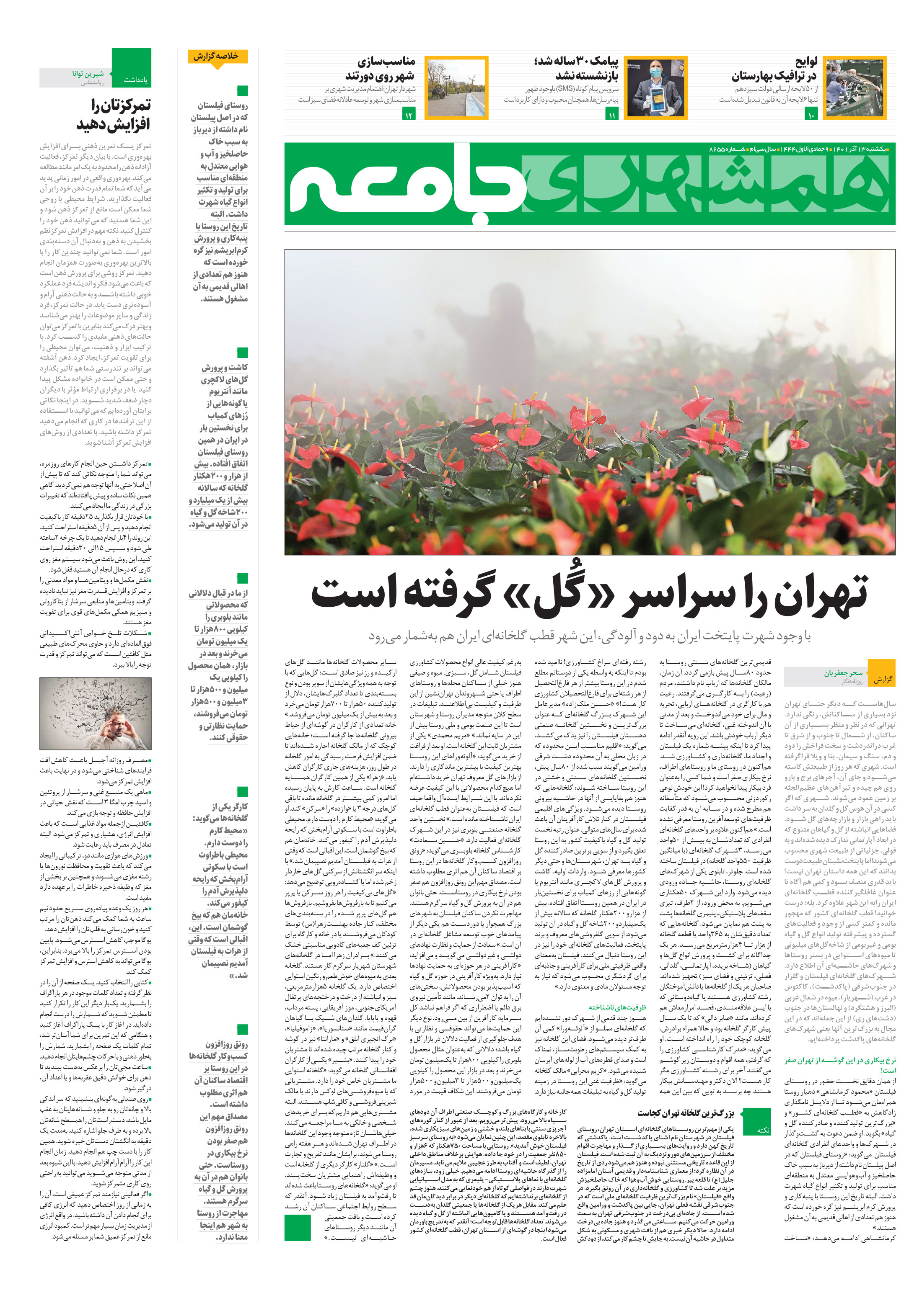 جامعه