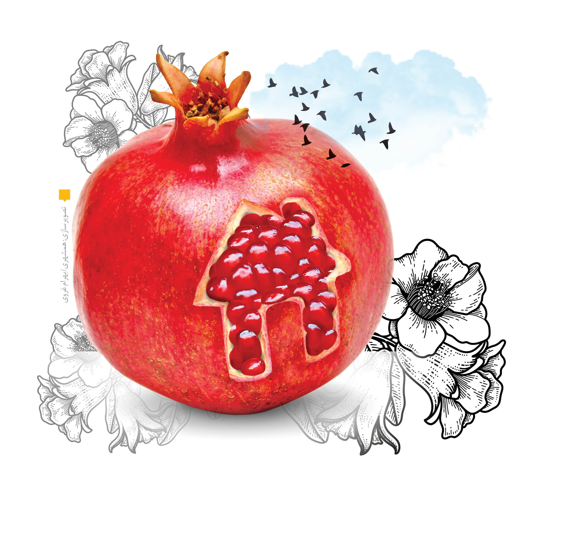 برای رسمی که کیمیاست