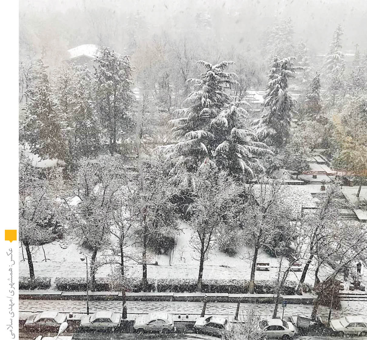 معجزه ساعی