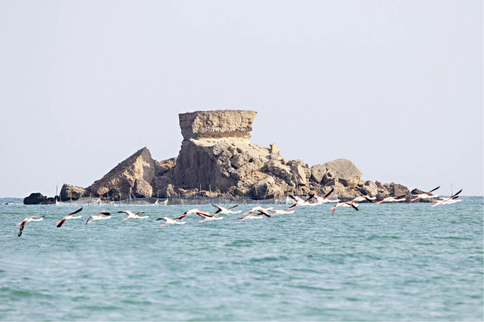 جزیره ناز قشم