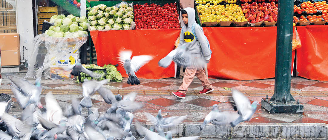 عکس خبر