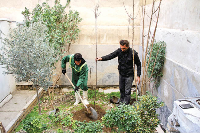 خانه شما رایگان سبز می‌شود