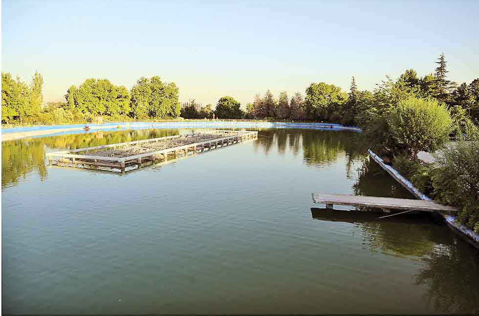 تفرجگاهی در دل چنارستان