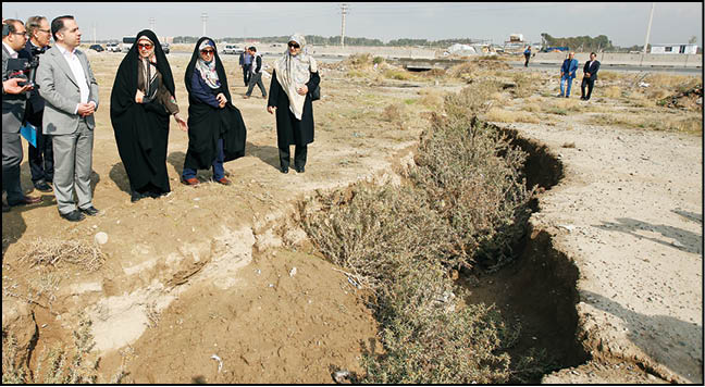 «سرطان زمین» محله‌ها را تهدید می‌کند