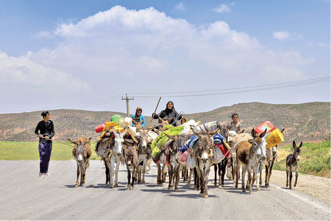 کوچ زودهنگام عشایر در شمال شرق