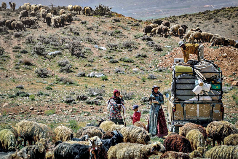 آغاز کوچ بهاره عشایر فارس