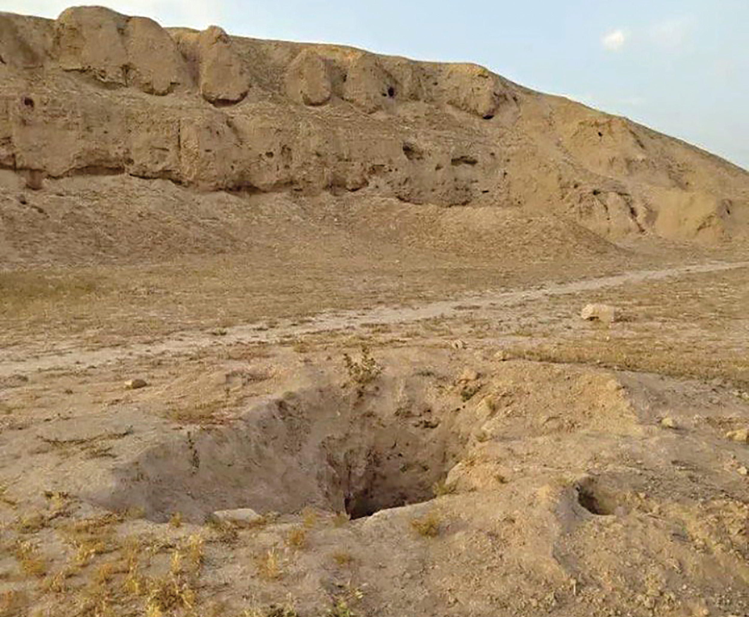 یک خبر درباره حفاری غیرمجاز شوش!