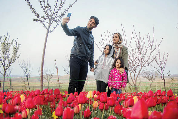 لاله‌های اسپره خون