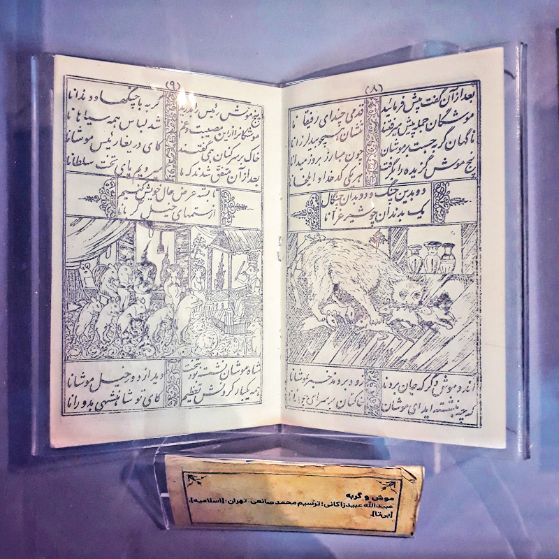 وای به حال دختری که مشق بلد باشد
