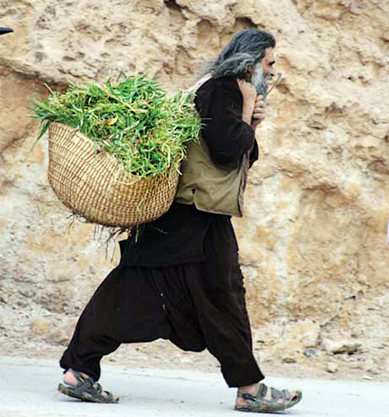 پدر بوم گردی ایران