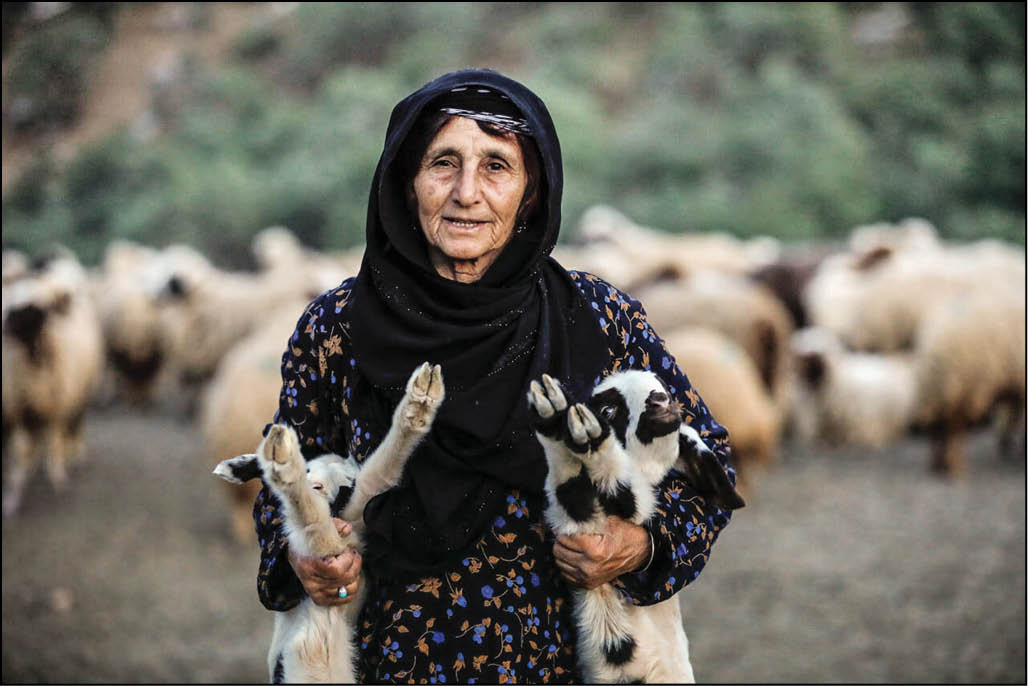 سرزمین شگفتی‌ساز