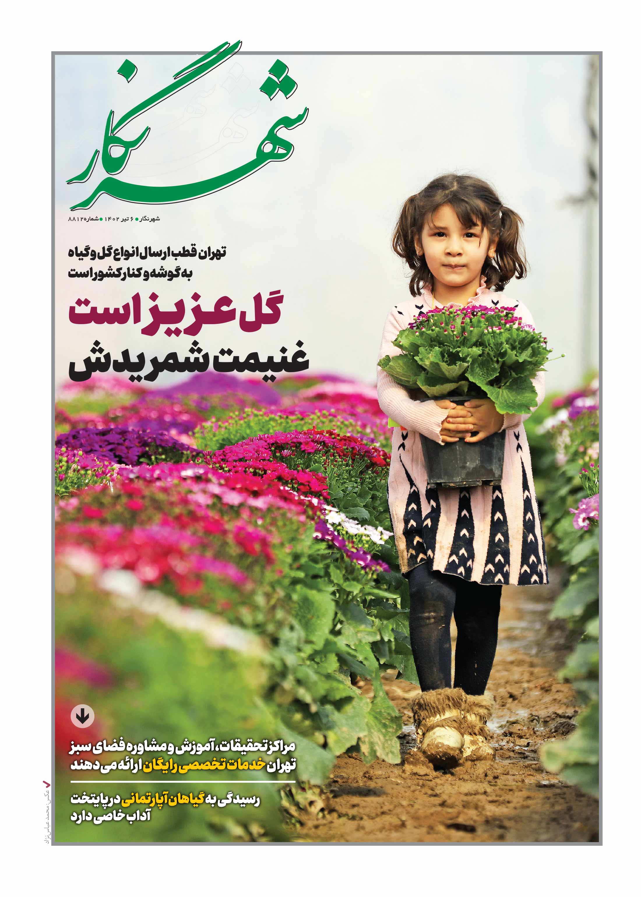 شهرنگار1