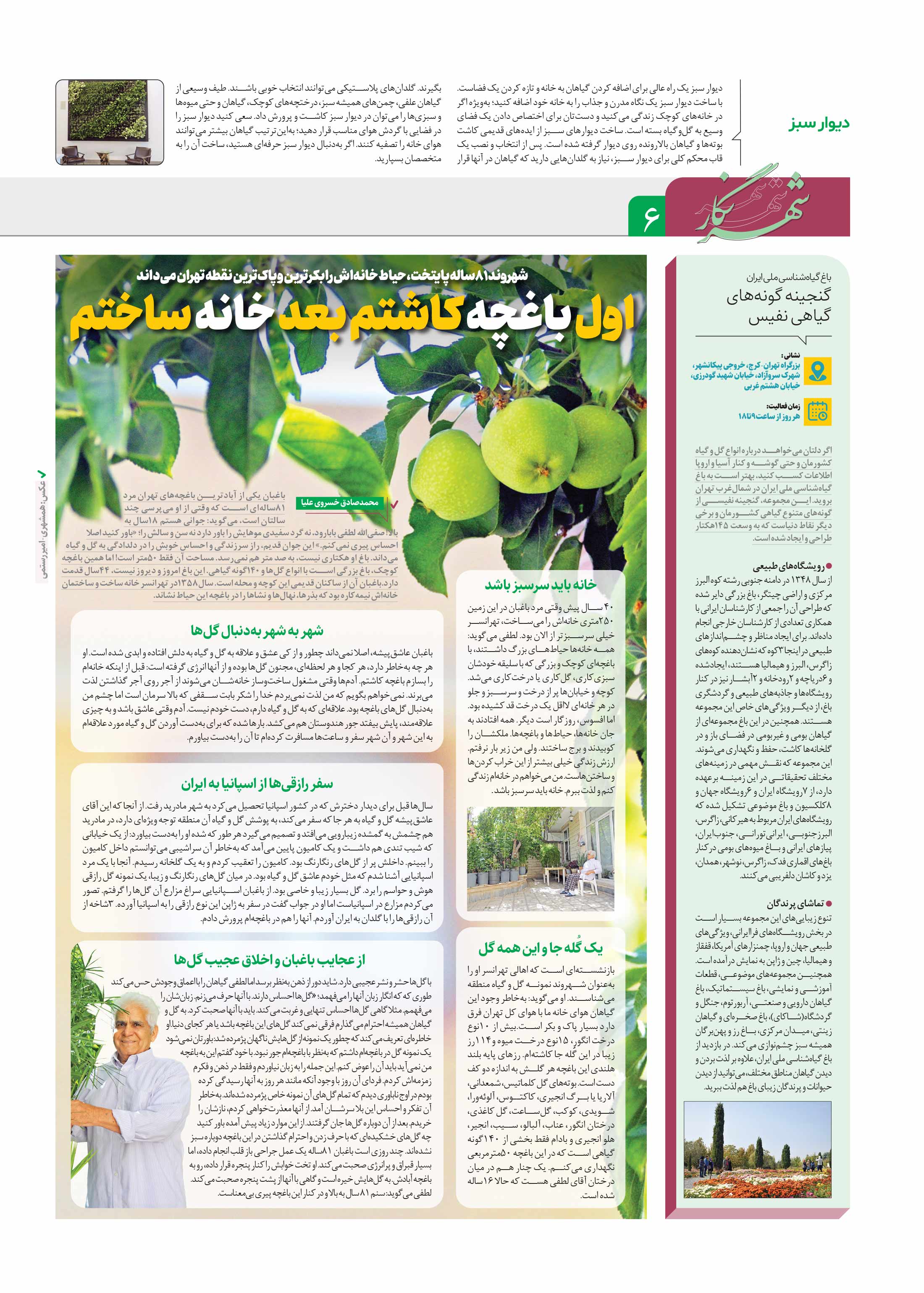 َشهرنگار6