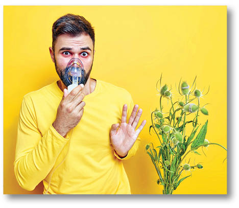 چه کسانی به گیاهان آلرژی دارند؟