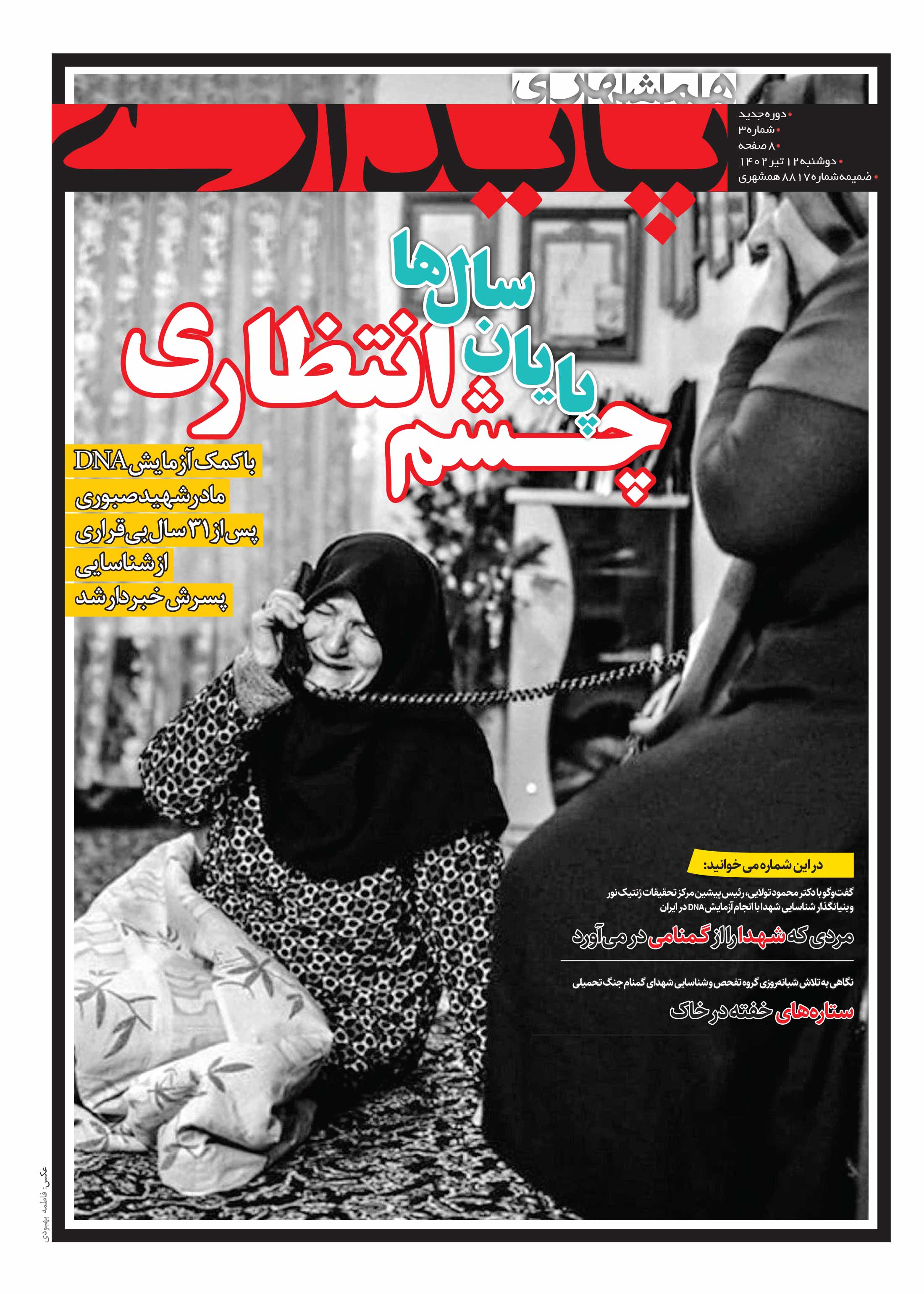 پایداری 1