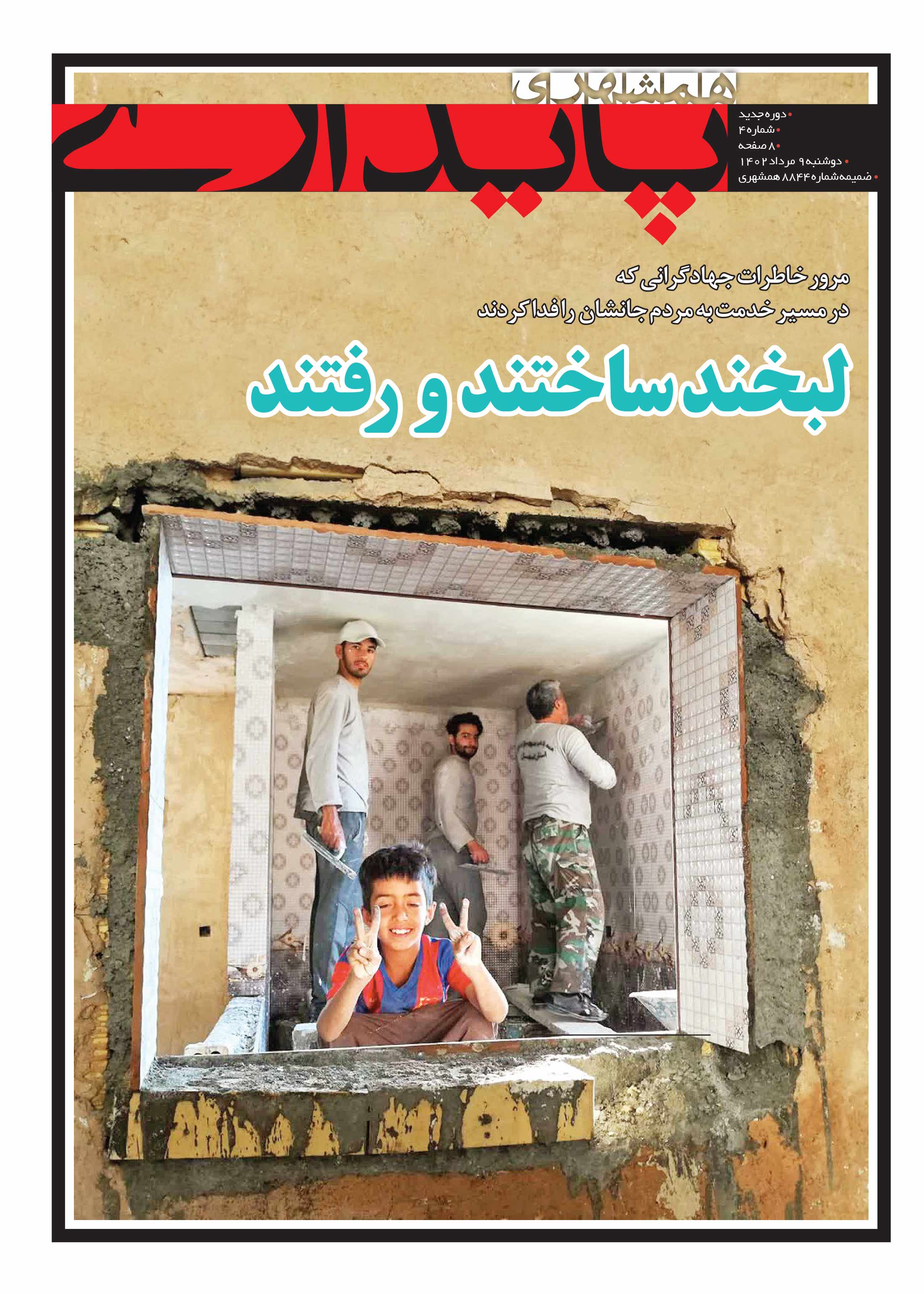 پایداری 1
