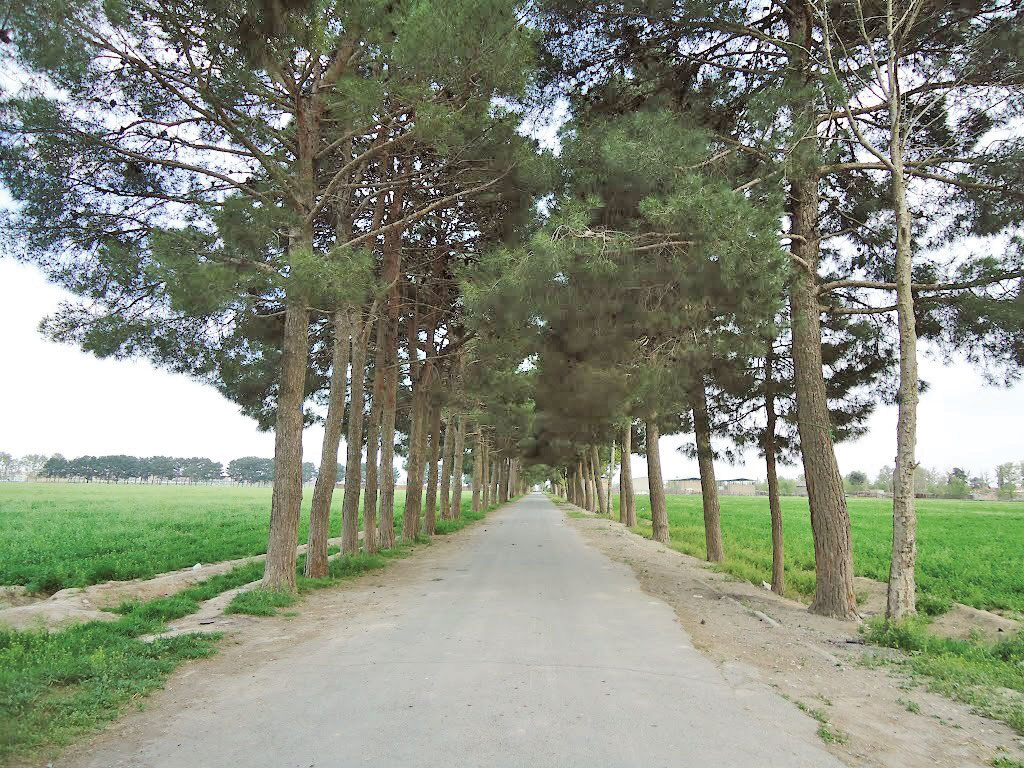 تعداد روستاهای جنوب تهران محدود است اما خوشآب وهوا