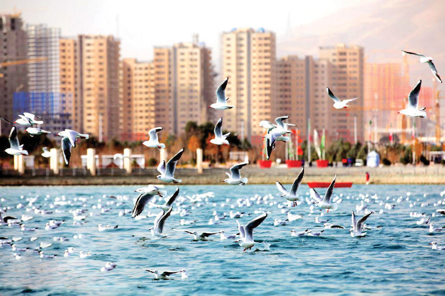 در حوالی شلوغیهای پایتخت کلی دریاچه هست که میتوانید کنار آنها حسابی خوش بگذرانید