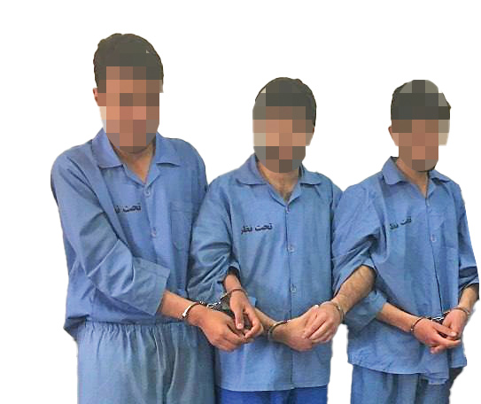 دختر جوان طراح نقشه سرقت مسلحانه از خانه خانم دکتر بود