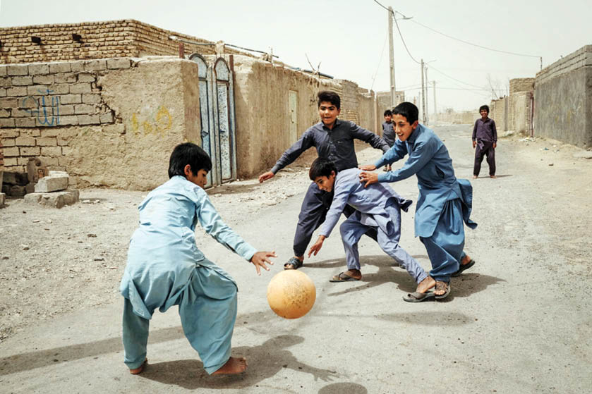 زندگی در بستر هامون