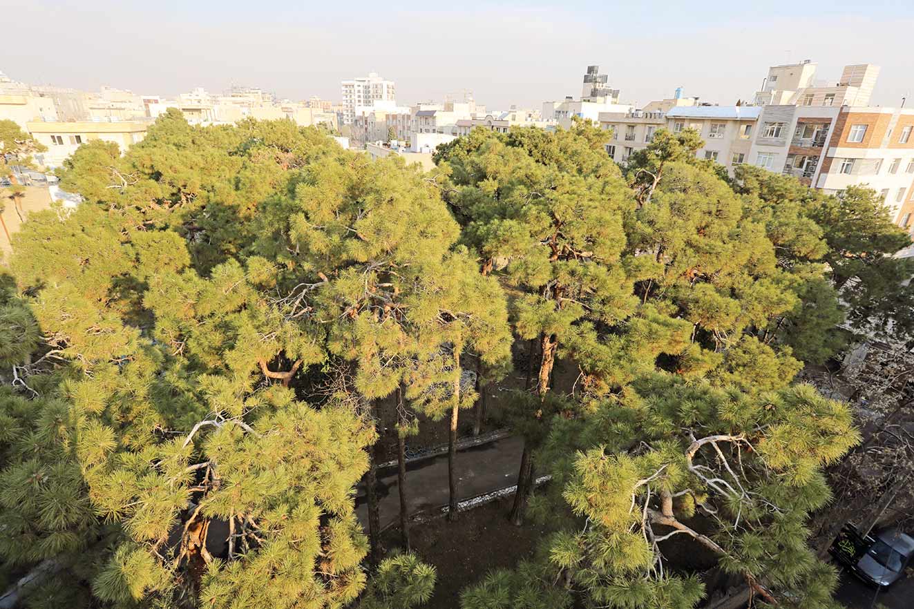 باغ خاندان نامدار