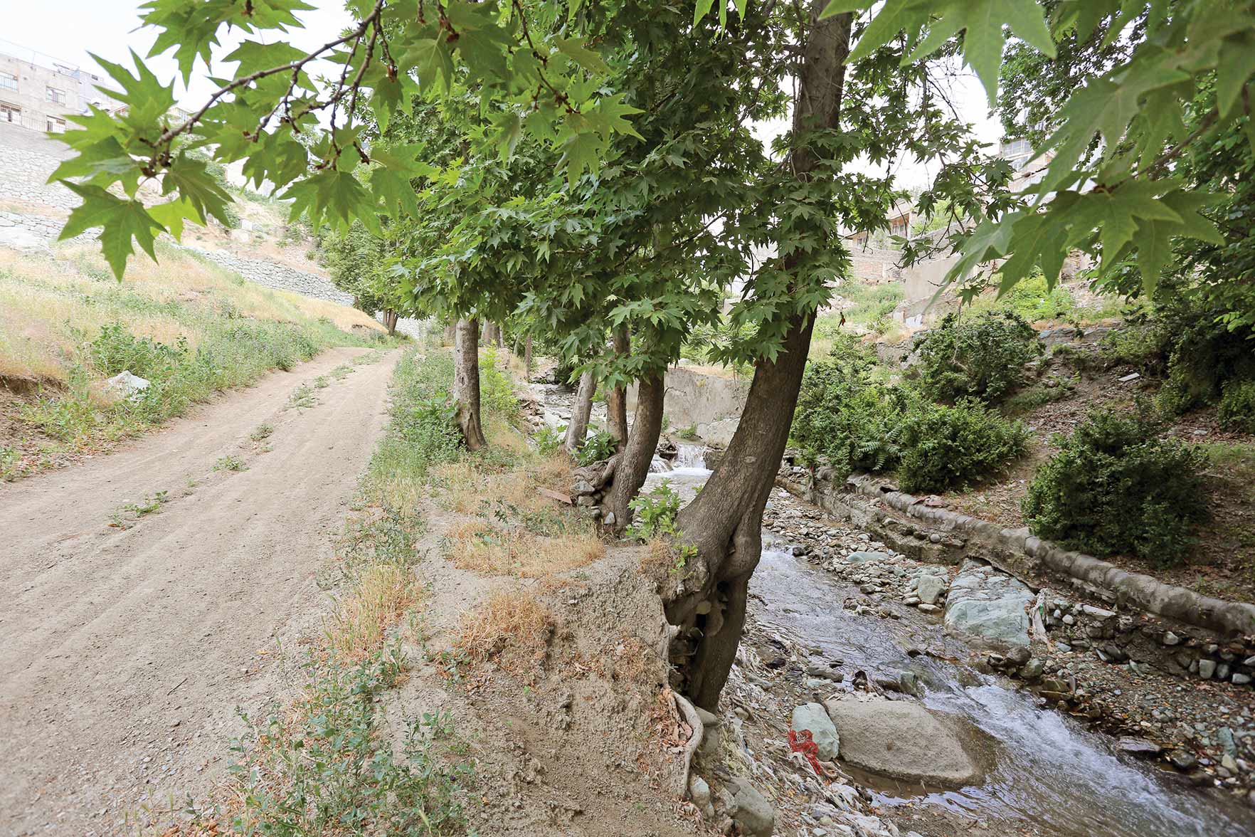 برخی رود درههای غرب تهران امکانات رفاهی متنوعی دارند