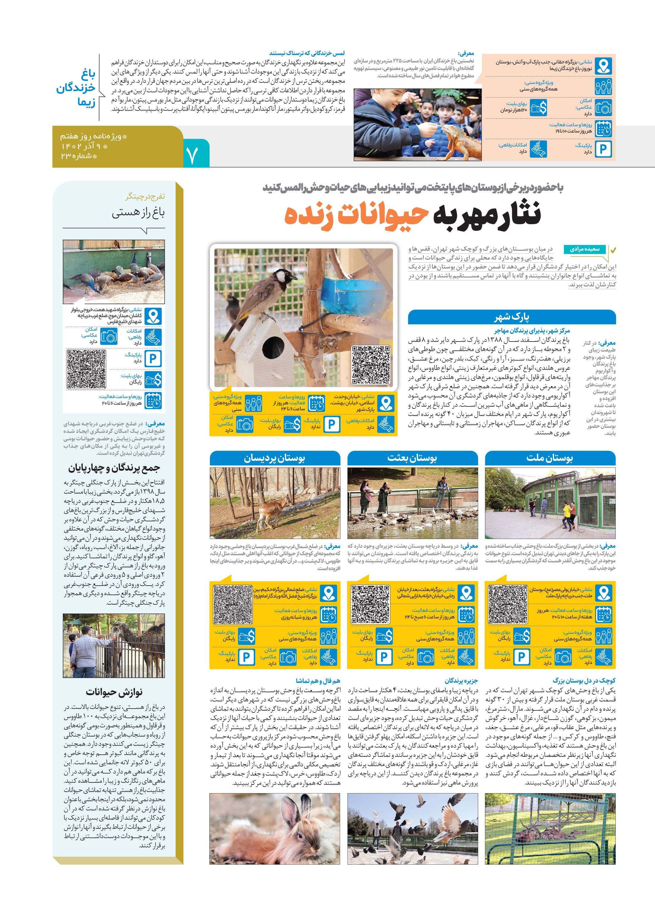 روز هفتم 5
