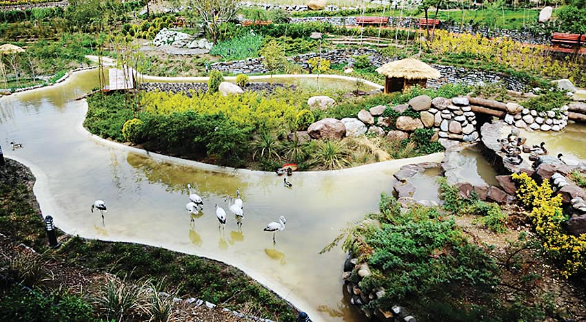 تماشای بکر