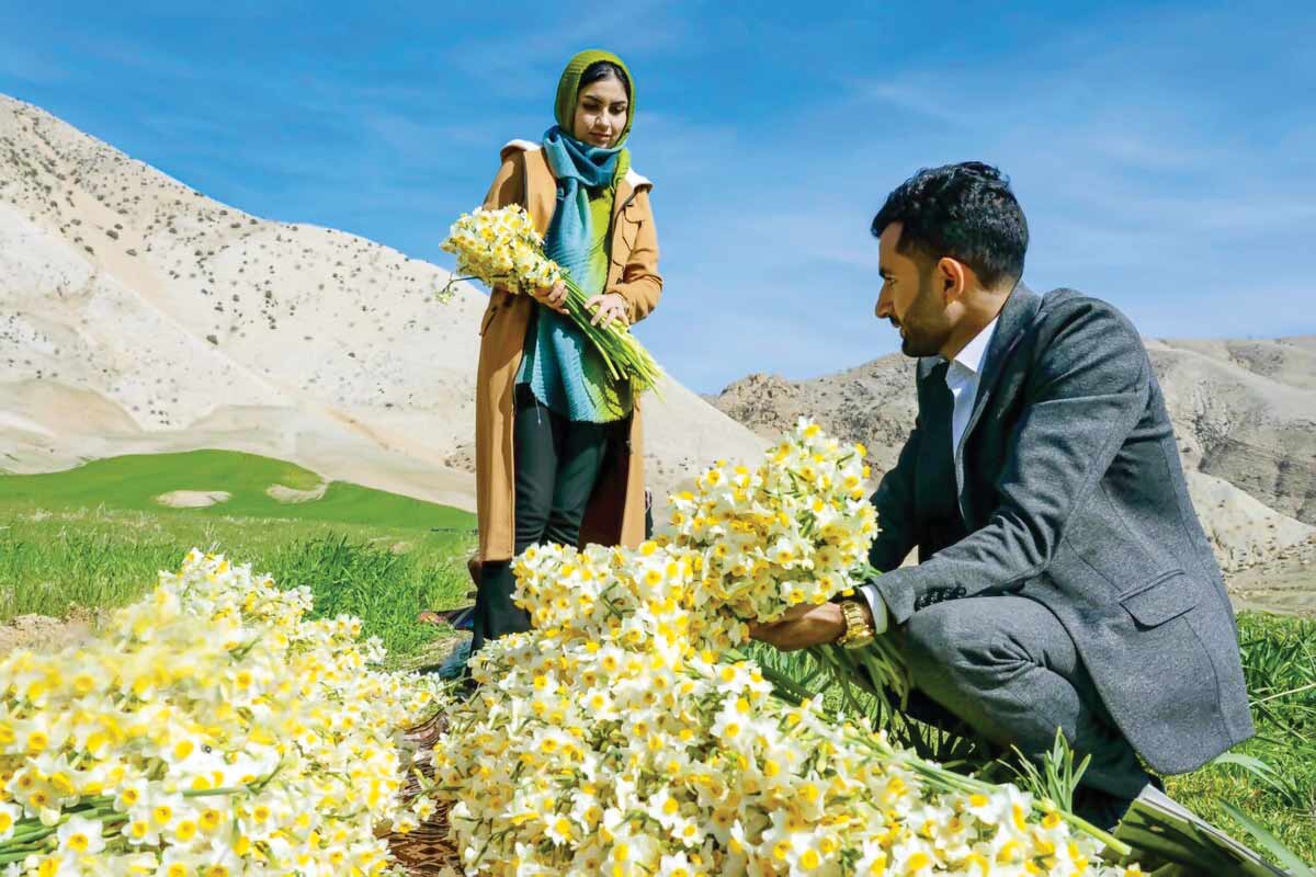 نذر گل نرگس