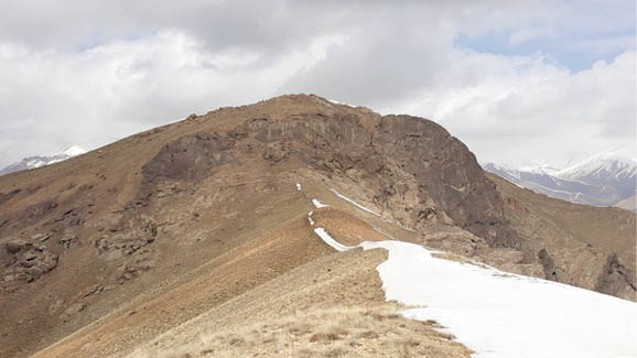 سیاه‌سر